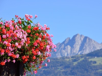 Holiday apartment Geranienhof - Holiday Apartment No.5 - Outdoor photo 5