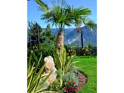 Holiday apartment Geranienhof - Holiday Apartment No.5 - Outdoor photo 7