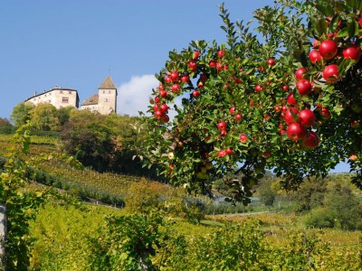 Holiday apartment Geranienhof - Holiday Apartment No.5 - Environment photo 19