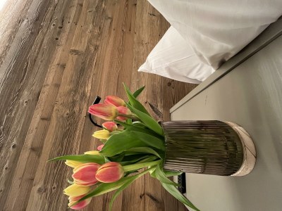 Apartment Appartement Schwarzer Adler - Outdoor photo 16