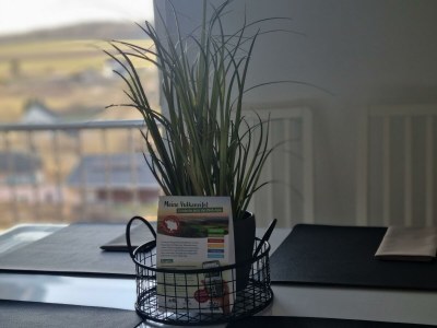 Apartment Wellnesshaus mit Jacuzzi u.Infrarotkabine - neu - Features photo 10