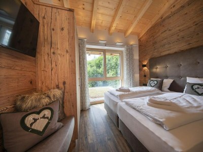 Holiday park Chalet in Neukirchen near Ski Lift - Features photo 8