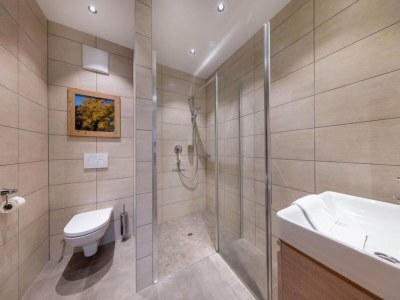 Holiday park Chalet in Neukirchen nahe Ski Wildkogel - Features photo 21