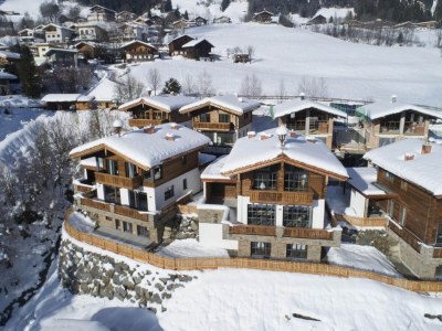 Holiday park Chalet in Neukirchen nahe Ski Wildkogel - Environment photo 31