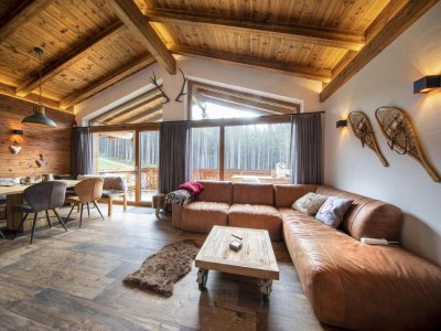 Holiday park Chalet in Neukirchen am Skigebiet - Features photo 11