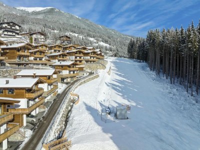 Holiday park Chalet in Neukirchen am Skigebiet - Outdoor photo 21