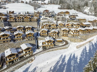 Holiday park Chalet in Neukirchen am Skigebiet - Outdoor photo 39