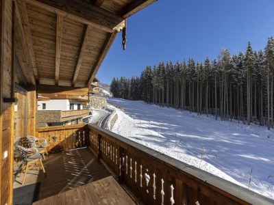 Holiday park Chalet in Neukirchen am Skigebiet - Outdoor photo 43
