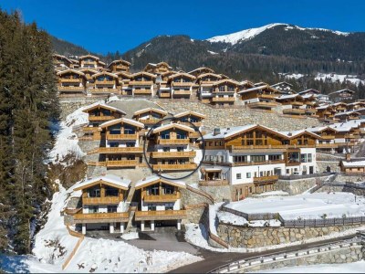 Holiday park Chalet in Neukirchen, 100 m Skilift - Outdoor photo 25