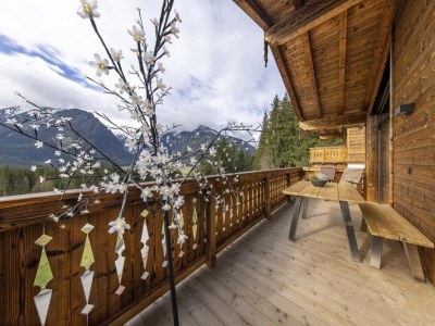 Holiday park Chalet in Neukirchen, 100 m Skilift - Outdoor photo 41