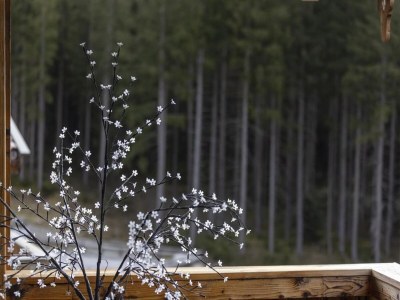 Holiday park Chalet in Neukirchen, 100 m Skilift - Outdoor photo 44