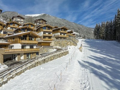 Holiday park Luxuriöses Alpenchalet in Neukirchen - Environment photo 11