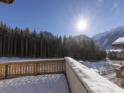 Holiday park Luxuriöses Alpenchalet in Neukirchen - Environment photo 12