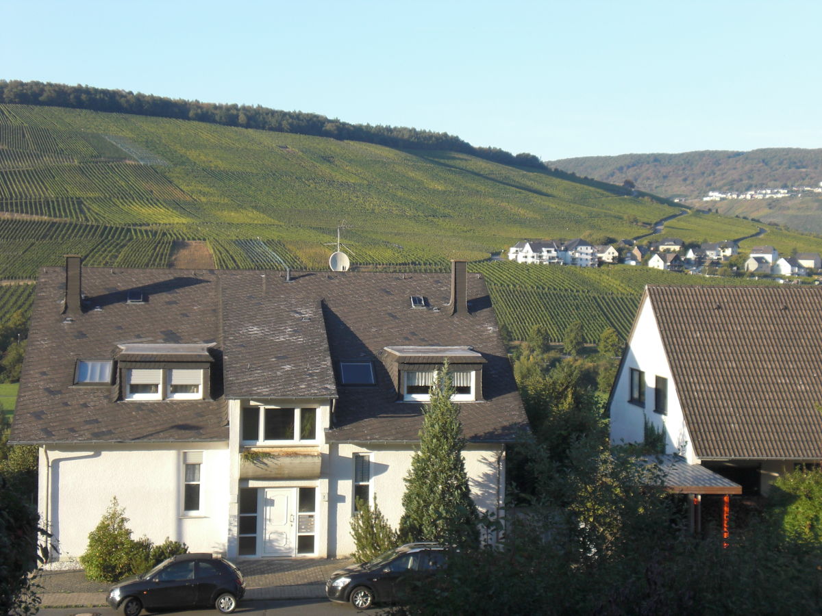Holiday apartment "Bernkastel Moselle Panorama" - Outdoor photo 3