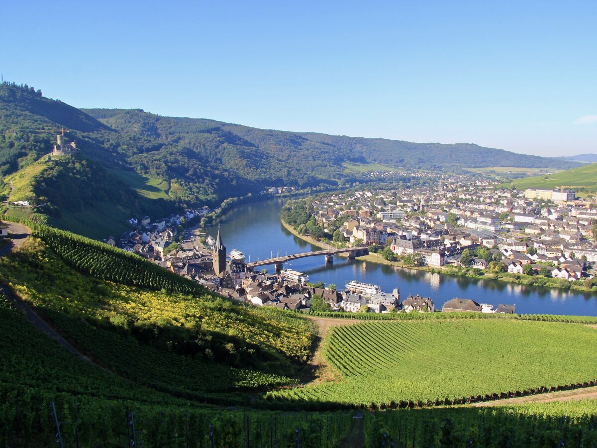 Holiday apartment "Bernkastel Moselle Panorama" - Outdoor photo 5