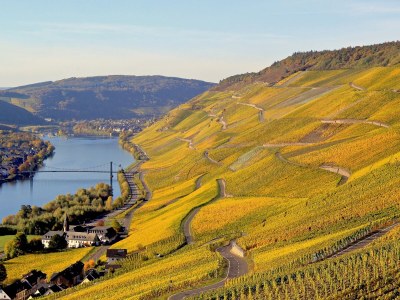 Holiday apartment "Bernkastel Moselle Panorama" - Outdoor photo 6