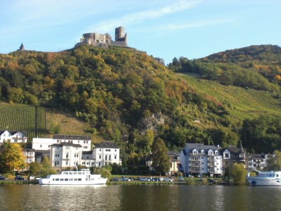 Holiday apartment "Bernkastel Moselle Panorama" - Environment photo 19