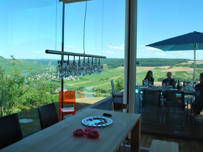 Holiday apartment "Bernkastel Moselle Panorama" - Environment photo 20