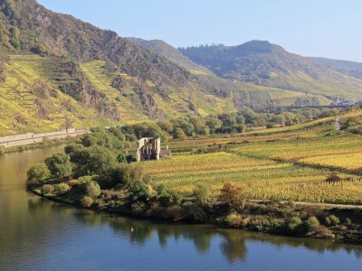 Holiday apartment "Bernkastel Moselle Panorama" - Environment photo 22