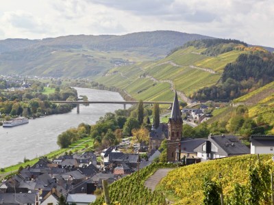 Holiday apartment "Bernkastel Moselle Panorama" - Environment photo 23