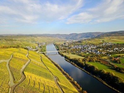 Holiday apartment "Bernkastel Moselle Panorama" - Document photo 26