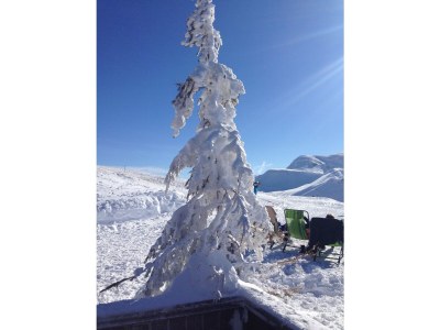 Apartment Wachtelhof in Hinterhal - Apartment