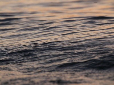 Apartment Entspannender Rückzugsort am Strand von Poel - Environment photo 30