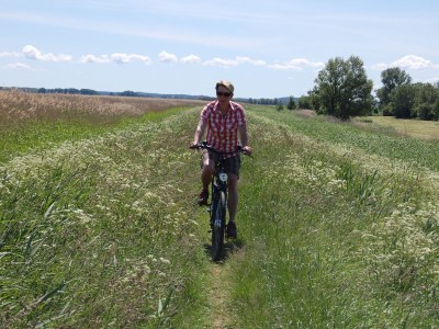 Holiday apartment Holiday home Usedom Residenz Balmer See Kümpel - Environment photo 22