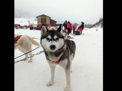 Apartment Genepi Residence f�r neun Personen - Environment photo 27