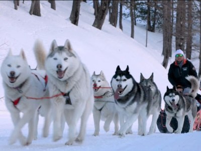 Apartment Genepi Residence f�r neun Personen - Environment photo 30