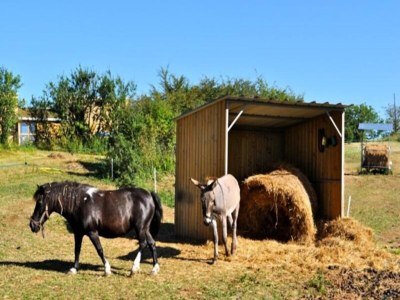 Apartment 5-Zimmer-Bauernhaus f�r 10/14 Personen - Outdoor photo 9