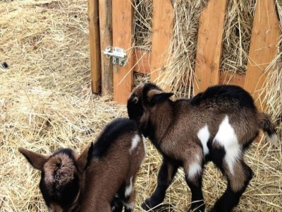 Apartment 5-Zimmer-Bauernhaus f�r 10/14 Personen - Outdoor photo 12