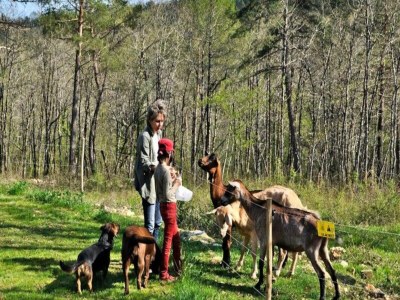 Apartment 5-Zimmer-Bauernhaus f�r 10/14 Personen - Outdoor photo 14