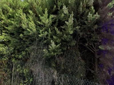 Apartment Strahlendes 55 m² Apt. in Bordeaux - Outdoor photo 6