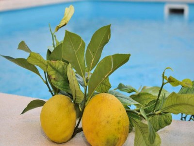 Apartment 213 Casa Can Cantino ETV/5779 von Mallorca Charme - Outdoor photo 39