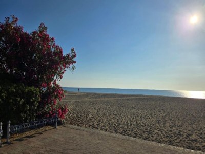 Apartment Mer und Golf Residence Port Argeles - Environment photo 19