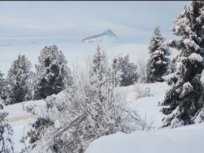 Apartment Chalet Les Triolets - Environment photo 24