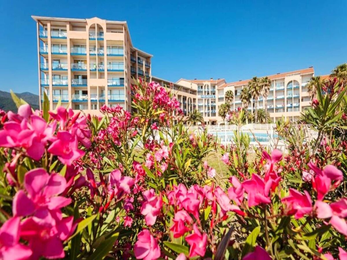 Apartment Mer und Golf Residence Port Argeles - Outdoor photo 3