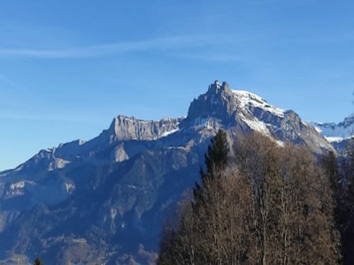 Apartment Bezirk La Forêt - Outdoor photo 36