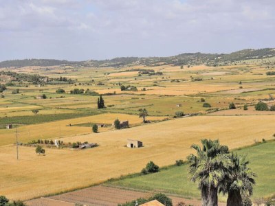 Apartment Haus in Santa Margalida - Outdoor photo 26