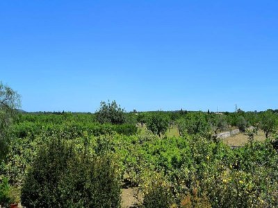 Apartment 128 Finca Son Rossinyol ETV/10657 bei Mallorca Char - Outdoor photo 27