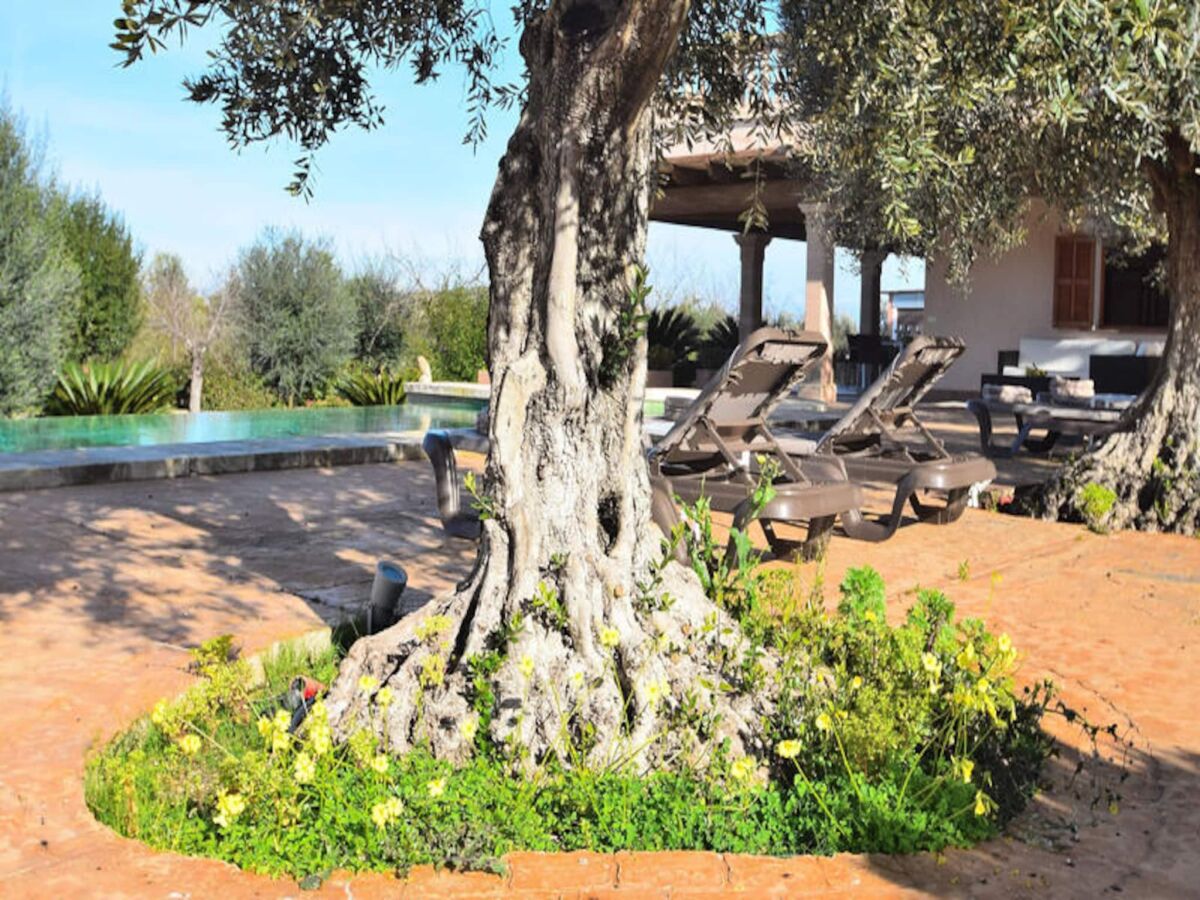 Apartment 070 Finca Son Arcaines de Can Simó ETV/4134 von Mal - Outdoor photo 2