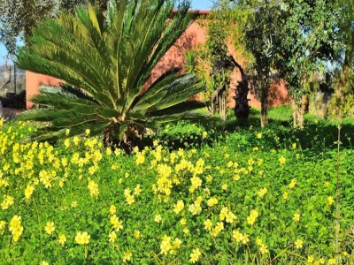 Apartment 070 Finca Son Arcaines de Can Simó ETV/4134 von Mal - Outdoor photo 22