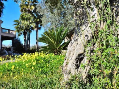 Apartment 070 Finca Son Arcaines de Can Simó ETV/4134 von Mal - Outdoor photo 28