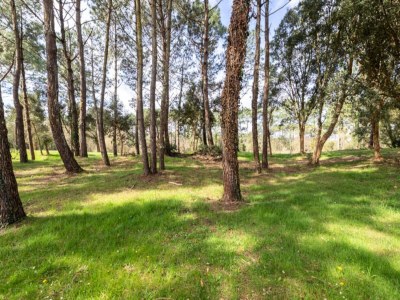 Apartment 2-Zimmer-Wohnung für 6 Personen - Komfort - Outdoor photo 26