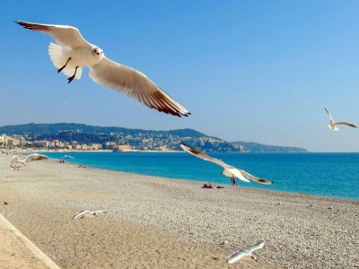 Apartment Wohnungen in Nizza - Outdoor photo 5