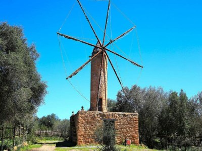 Apartment Haus in Son Serra de Marina in Majorca North - Apartment