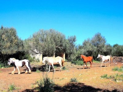 Apartment Haus in Son Serra de Marina - Outdoor photo 22