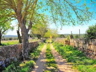 Apartment Haus in Son Serra de Marina - Outdoor photo 25