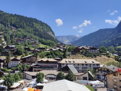 Apartment Chalet L'Efanle - Environment photo 27